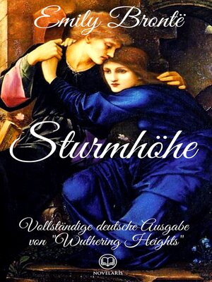 cover image of Sturmhöhe